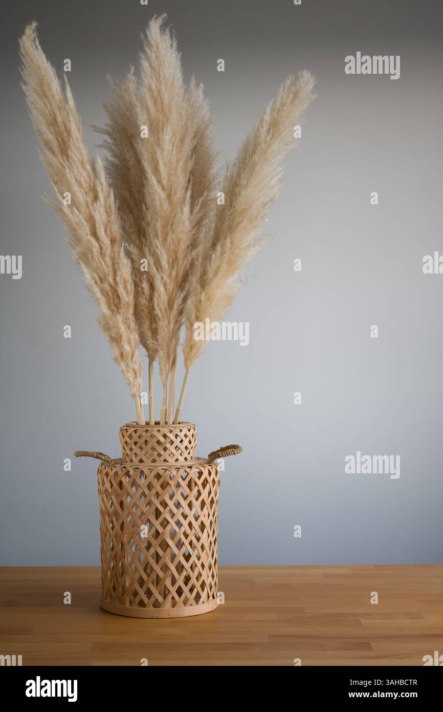 Pampas-Gras in gewebter Vase auf Holztisch - minimalistische Einrichtung Stockfoto