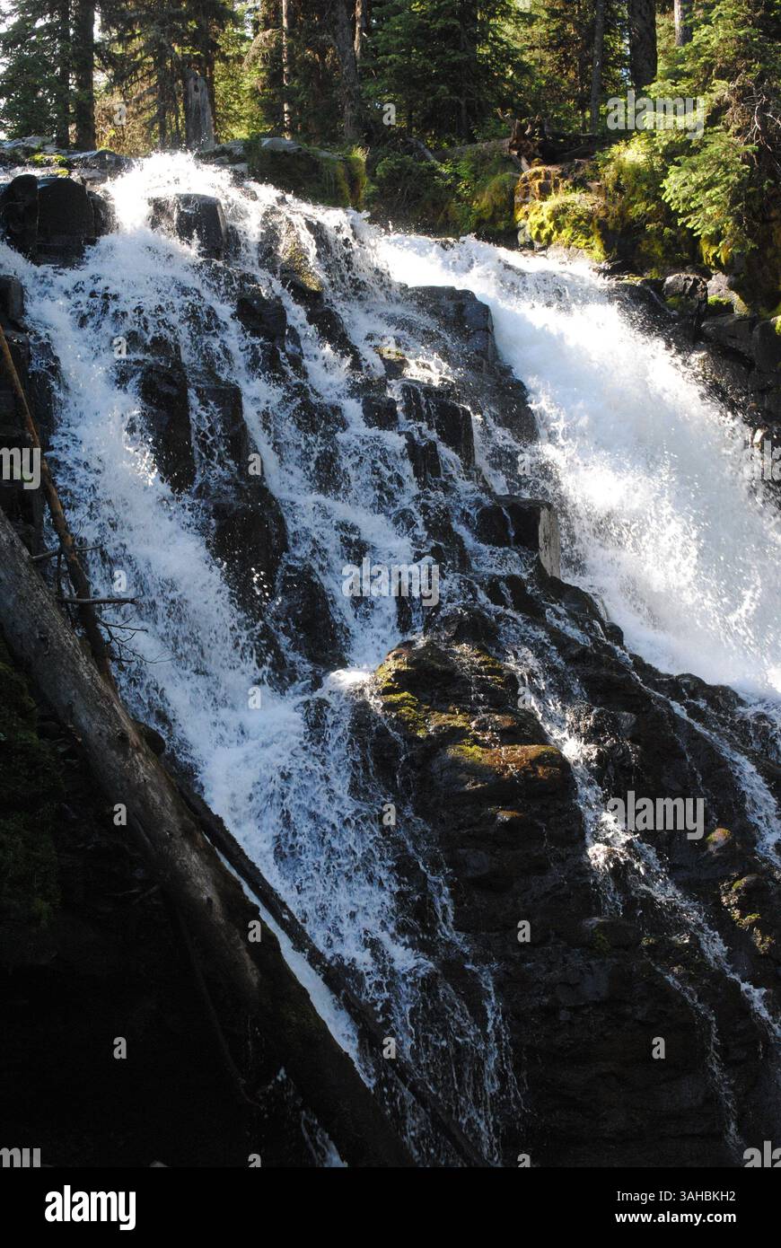 Glücklicher Ort Stockfoto
