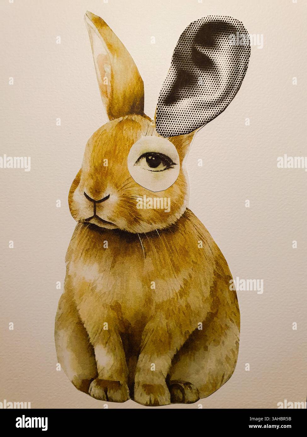 Osterhase mit großem Menschenohr und menschlichem Auge Stockfoto