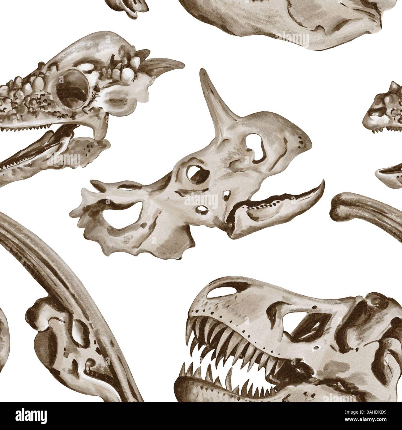 Nahtloses Muster mit Dinosaurierschädeln. Theranosaurus und Trekatoratops und andere Dinosaurier. Skelette. Aquarellabbildung ohne Hintergrund Stockfoto