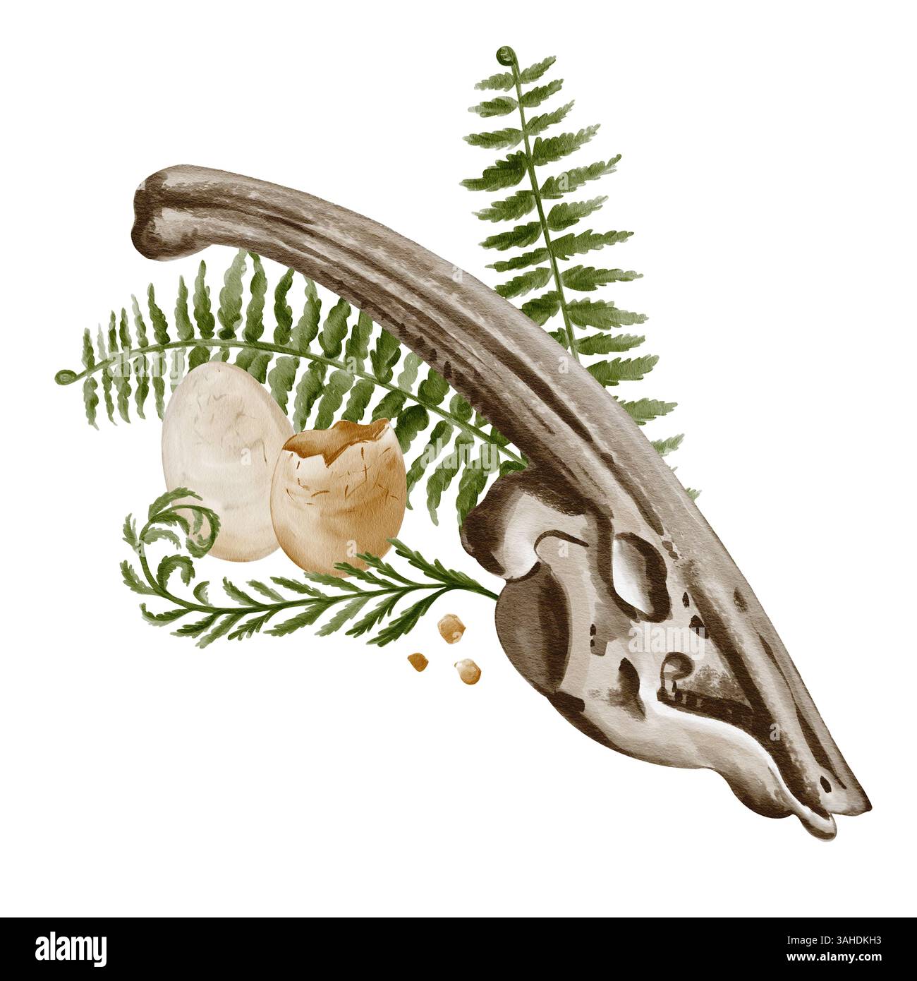 parasaurolophusschädel. Dinosaurierknochen. Schädel mit Pflanzen, verziert mit Farn. Tierisches Fossil. Herbivorer Dinosaurier. Abbildung der Kollektion Stockfoto