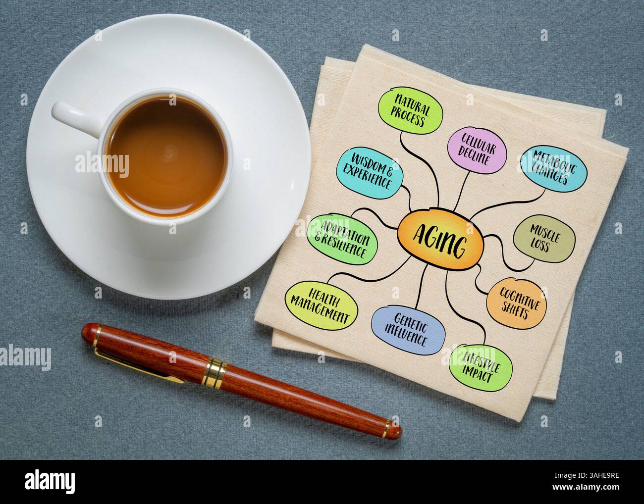 Alterung, natürlicher Prozess biologischer, physiologischer und psychologischer Veränderungen, die in lebenden Organismen im Laufe der Zeit auftreten. Infografik-Skizze. Stockfoto