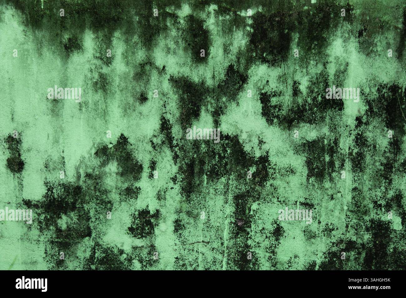 Abstrakte grüne Grunge-Textur mit Dark Rough Artistic Pattern, detaillierte grüne Grunge-Textur mit dunklen Mustern, die ein Gefühl von roh und organisch weckt Stockfoto