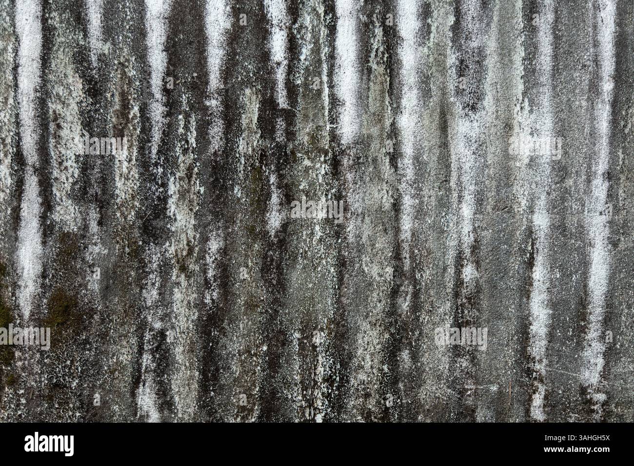 Abstrakte graue Grunge-Textur mit Dark Rough Artistic Pattern, detaillierte graue Grunge-Textur mit dunklen Mustern, die ein Gefühl von roh und organisch weckt Stockfoto