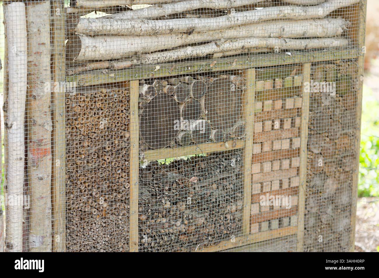 Biene oder Käfer Hotel oder Haus. Insektenfreundliche Konstruktion mit kleinen Löchern und Platz für Insekten unterschiedlicher Größe, Insekten und Lebewesen. Stockfoto