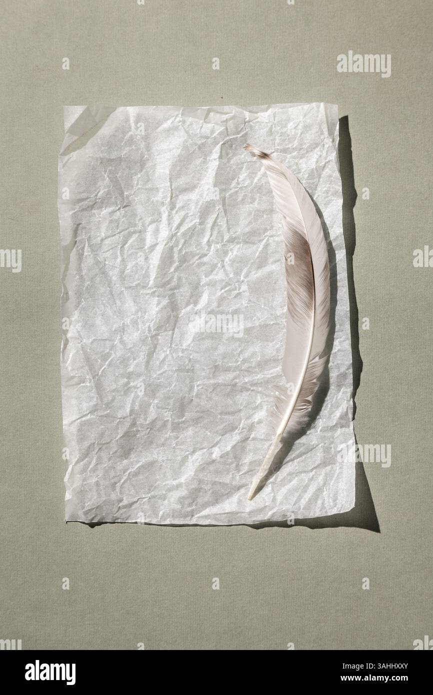 Einfarbiger Hintergrund mit einem leeren Blatt Papier und einer Feder. Draufsicht, minimaler Stil, Platz für Text. Stockfoto