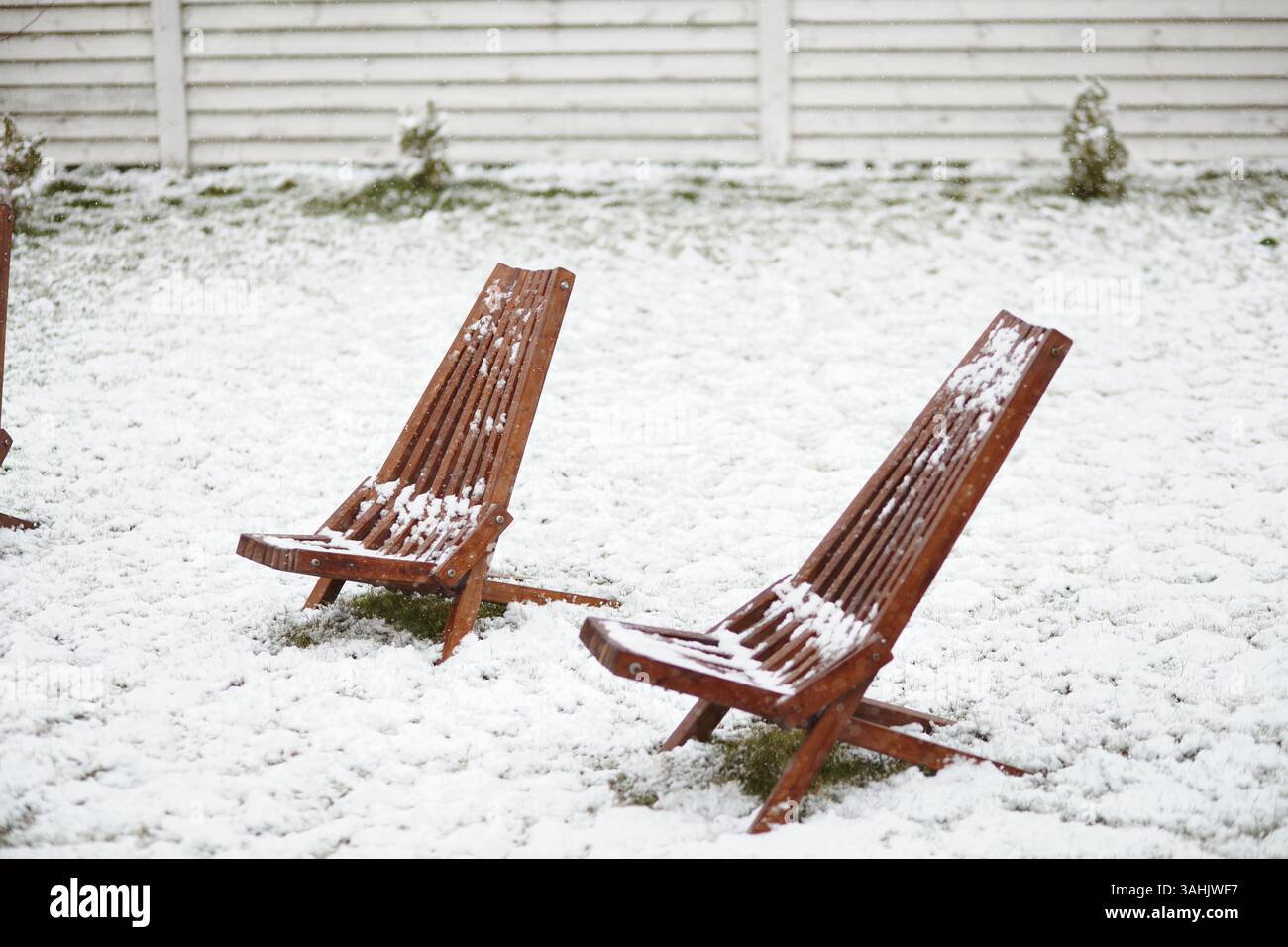 Hölzerne Liegestühle mit frischem Schnee im Garten im Hinterhof nach unerwartetem Frühlingsschnee bedeckt Stockfoto