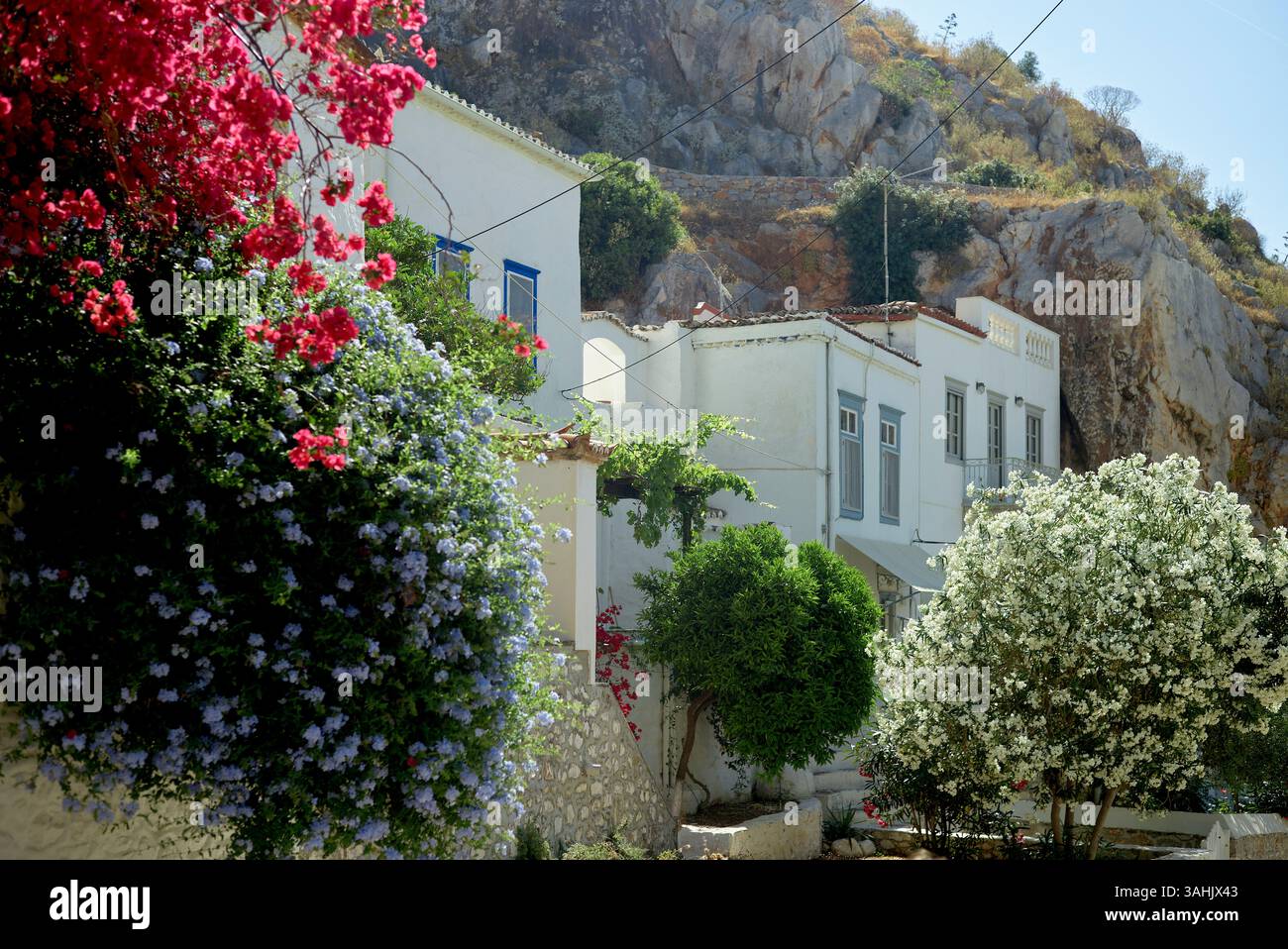 Charmantes Dorf am Hügel mit lebendigen Blumen und malerischen weiß getünchten Gebäuden. Hydra, Griechenland Stockfoto