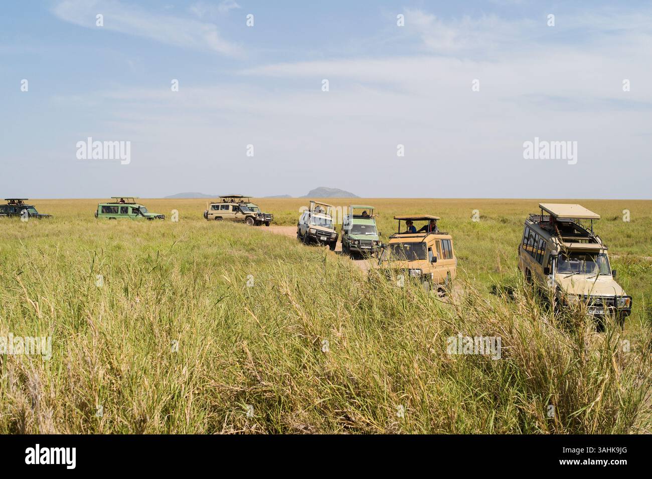 Safari-Fahrzeuge fahren durch hohes Gras in einer riesigen afrikanischen Savanne unter klarem Himmel. Tansania, Afrika Stockfoto Safari-Fahrzeuge fahren durch hohes Gras in einer riesigen afrikanischen Savanne unter klarem Himmel. Tansania, Afrika Stockfoto