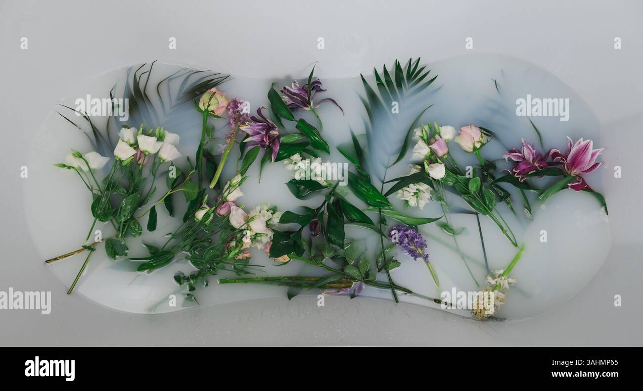 Ein buntes Blumenstrauß schwebt anmutig in einer makellosen weißen Flüssigkeit und erzeugt einen schönen visuellen Kontrast Stockfoto