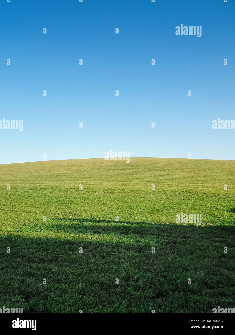 Feld mit kurzem Gras, dunkle Schatten im Vordergrund. Grüner Hügel und sauberer Himmel ohne Wolken. Stockfoto