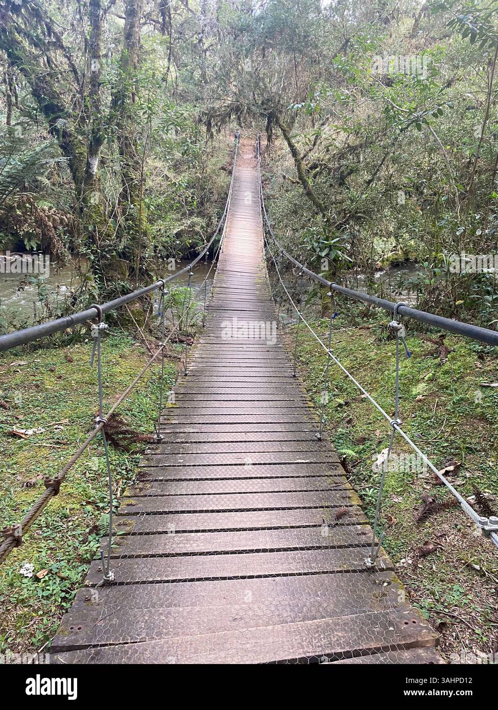 Brücke über den Fluss - Smartphone-aufgenommenes Stockfoto