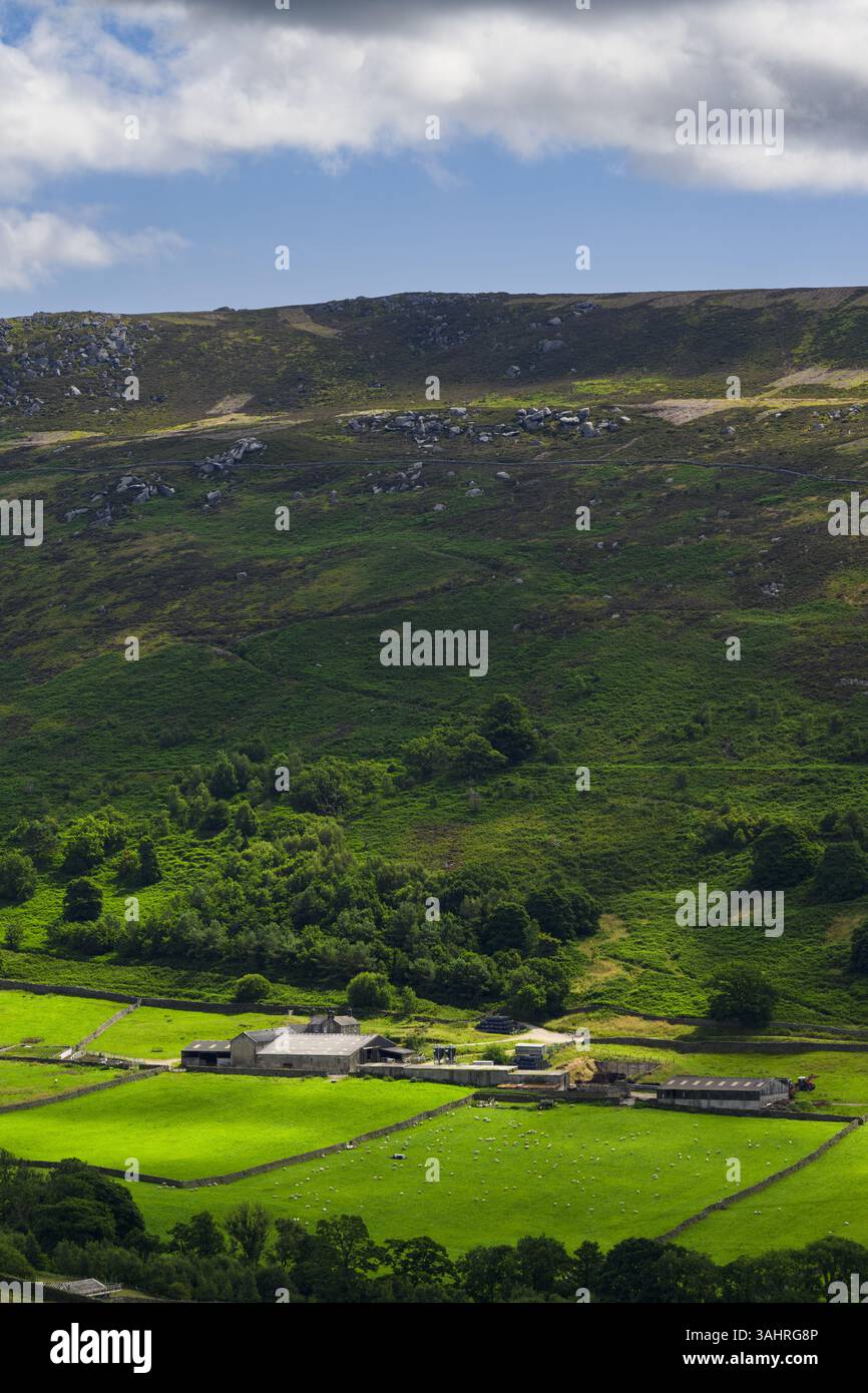 Malerischer Blick über sonnendurchflutetes Tal und Farmland bis zu den unteren Hängen von Simon's Seat (blauer Himmel) - von Skyreholme, Yorkshire Dales, England, Großbritannien. Stockfoto