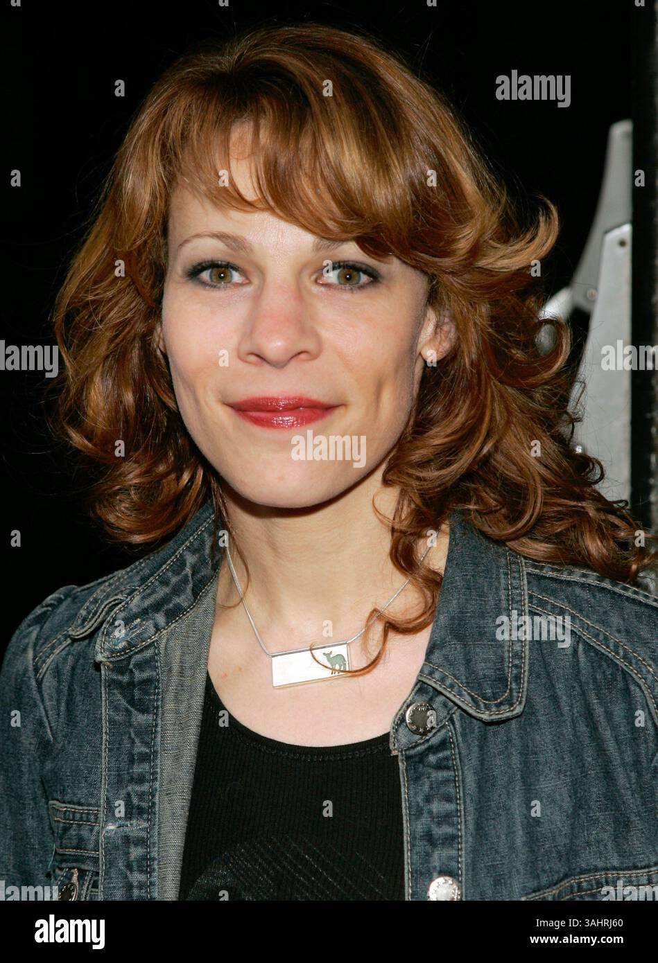 11. April 2006 – New York City, New York, USA – 10. April 2006 – New York, NY – Lili Taylor bei der NY Premiere von „The berüchtigte Bettie Page“ im AMC Lowes 19th St. Theatre. Foto Credit Jackson Lee/AdMedia (Foto: © Jackson Lee/AdMedia via ZUMA Wire) Stockfoto