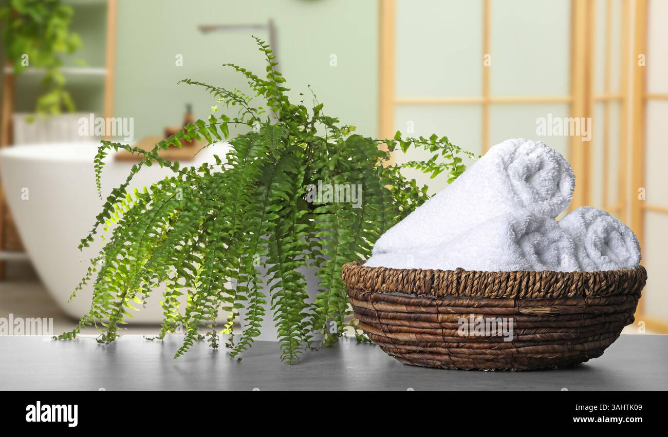 Frische, saubere Handtücher und Topfpflanzen auf dem Tisch im Bad, Banner-Design. Heimtextilien Stockfoto
