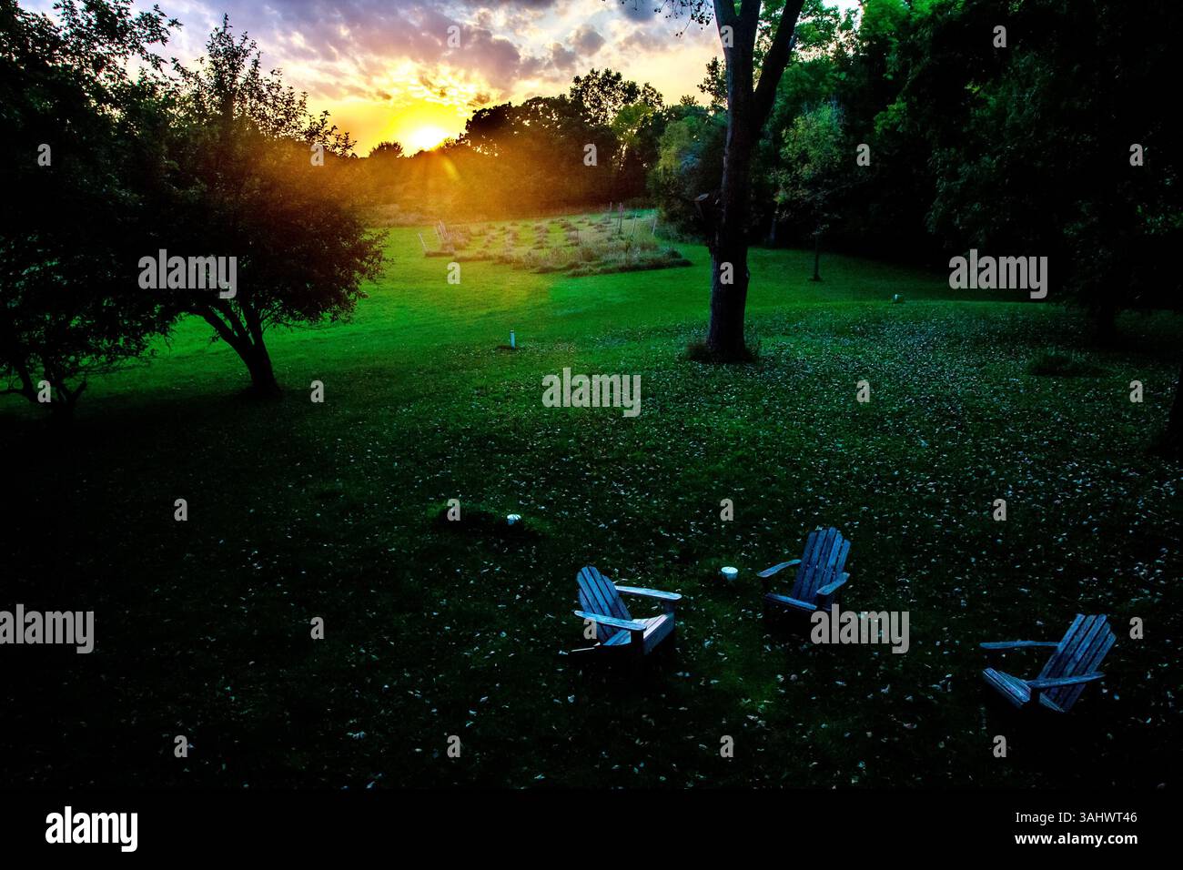 Drei Adirondack-Stühle sitzen auf einem Gras mit Blättern, mit Blick auf die Sonne, die bei Sonnenuntergang oder Sonnenaufgang hell durch die Bäume scheint. Stockfoto