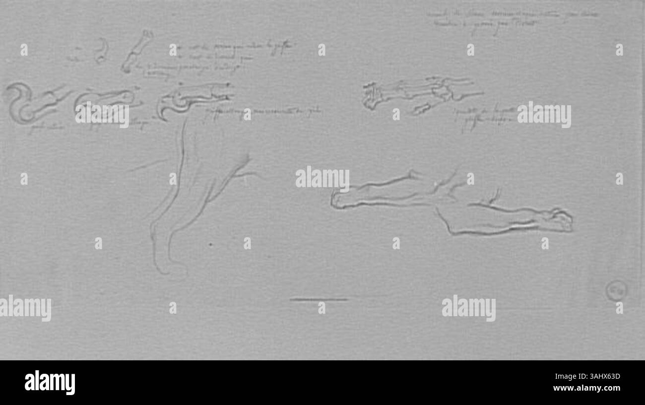 Gustave Moreys „Feuille d’études de patte de Lion pour Œdipe et le Sphinx“ (Studienblatt der Löwenpfote für Ödipus und die Sphinx), erstellt zwischen 1850 und 1895, ist eine vorbereitende Studie zu Moreaus Darstellung der Sphinx in seinem Gemälde Ödipus und Sphinx. Die Studie konzentriert sich auf die Details der Löwenpfote, einem Schlüsselelement der mythischen Kreatur. Das Werk ist im Musée Gustave Moreau untergebracht. Stockfoto