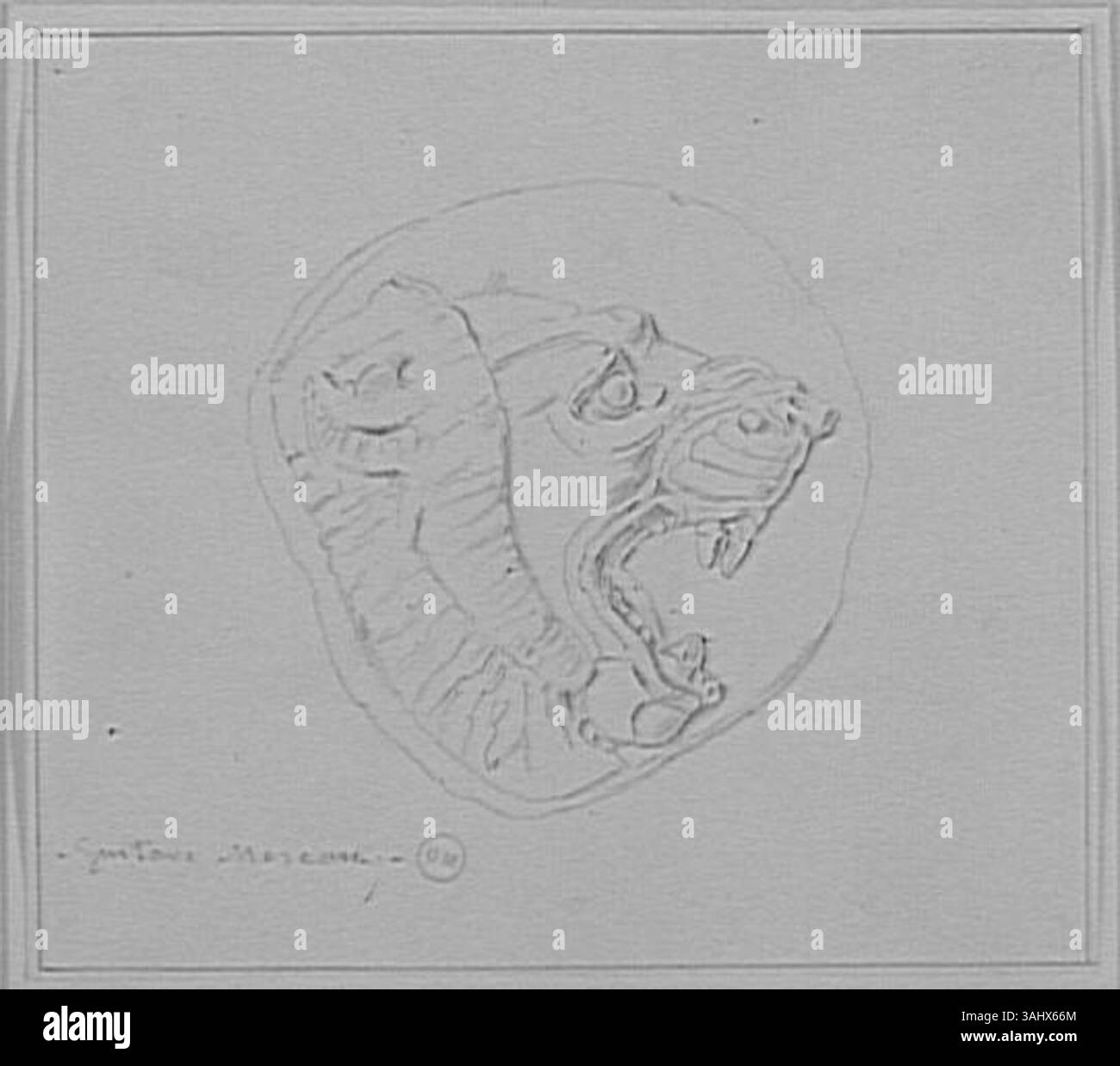 „Etude de gueule de Lion ouverte“ (Studie über den offenen Löwenkiefer) von Gustave Moreau, erstellt zwischen 1850 und 1895, ist eine detaillierte Untersuchung des mächtigen Kiefers eines Löwen. Das Stück, das im Musée Gustave Moreau untergebracht ist, fängt die naturalistische Darstellung des Tieres ein und betont die Stärke und Wildheit des Löwen. Stockfoto