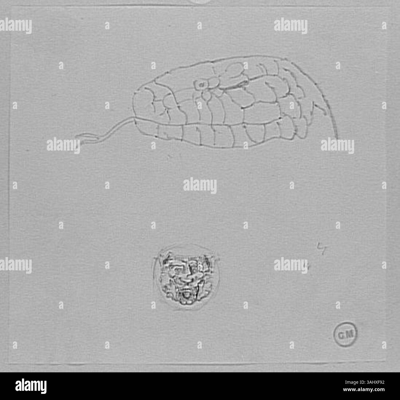 Diese Studie von Gustave Moreau, „Etude de tête de Serpent et médaillon à tête de Lion“, die zwischen 1850 und 1895 entstand, zeigt die Faszination des Künstlers für Tierdarstellungen. Das Stück enthält einen Schlangenkopf und ein Löwenkopf-Medaillon, das Moreas detaillierte Studien über Tierformen und ihre symbolische Bedeutung demonstriert. Das Werk befindet sich im Musée Gustave Moreau. Stockfoto