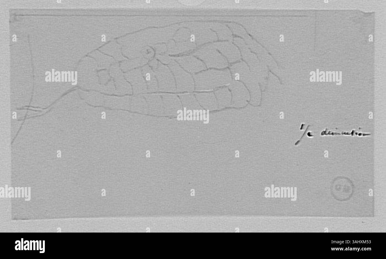 Diese Studie über den Kopf einer Schlange von Gustave Moreau, basierend auf Entwürfen der Magasin Pittoresque, zeigt seine Aufmerksamkeit auf Tierformen und detaillierte Beobachtung der Tierwelt. Stockfoto