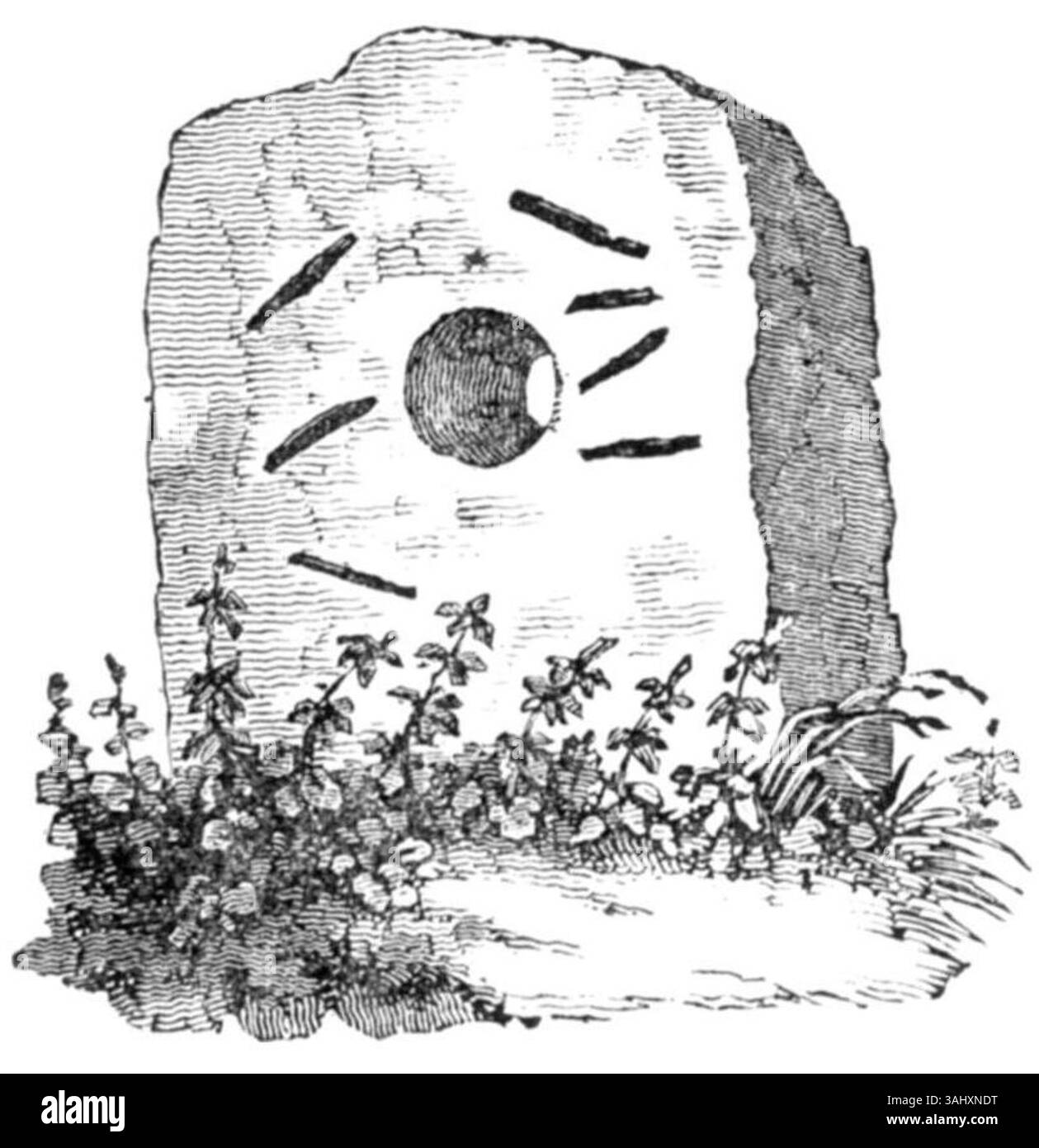 Das Castledermot Holestone, das 1833 dokumentiert wurde, bietet einen Einblick in die frühe irische Tradition der Errichtung von megalithischen Steinen als Symbole prähistorischer Rituale und Zeremonien. Stockfoto