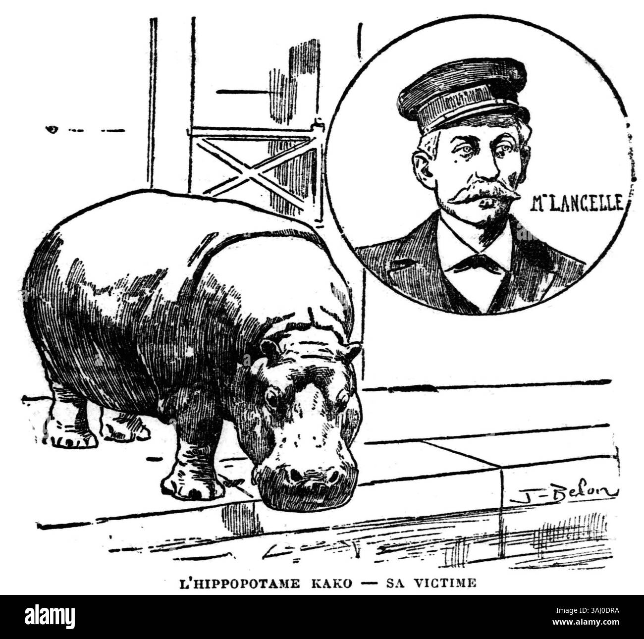 Das Gemälde *L'Hippopotame Kako - Sa victime* von José Belon aus dem Jahr 1903 zeigt eine exotische Szene, in der ein Nilpferd sein Opfer angreift. Es ist Teil der französischen Kunst, die zwischen dem späten 19. Und frühen 20. Jahrhundert gemalt wurde. Stockfoto