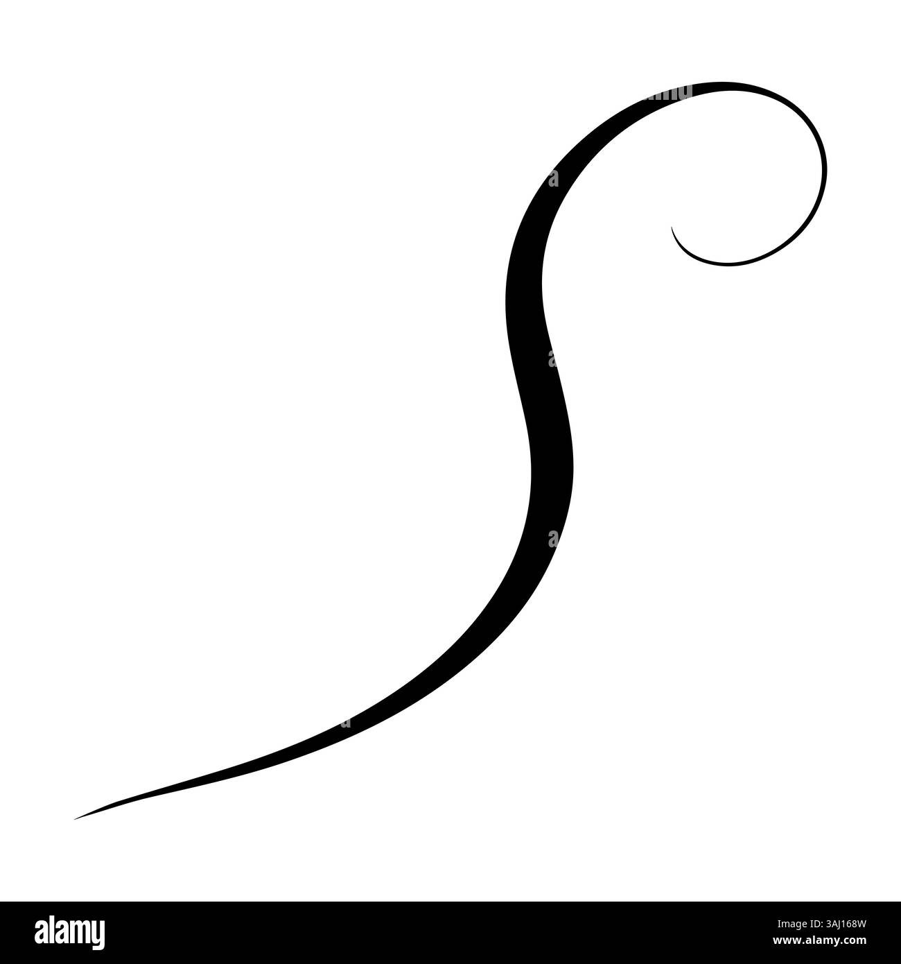 Anmutiges schwarzes Drallmuster perfekt für elegante Vintage-Designelemente Stock Vektor