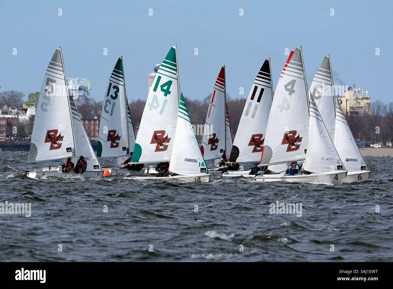 Segelregatta Stockfoto