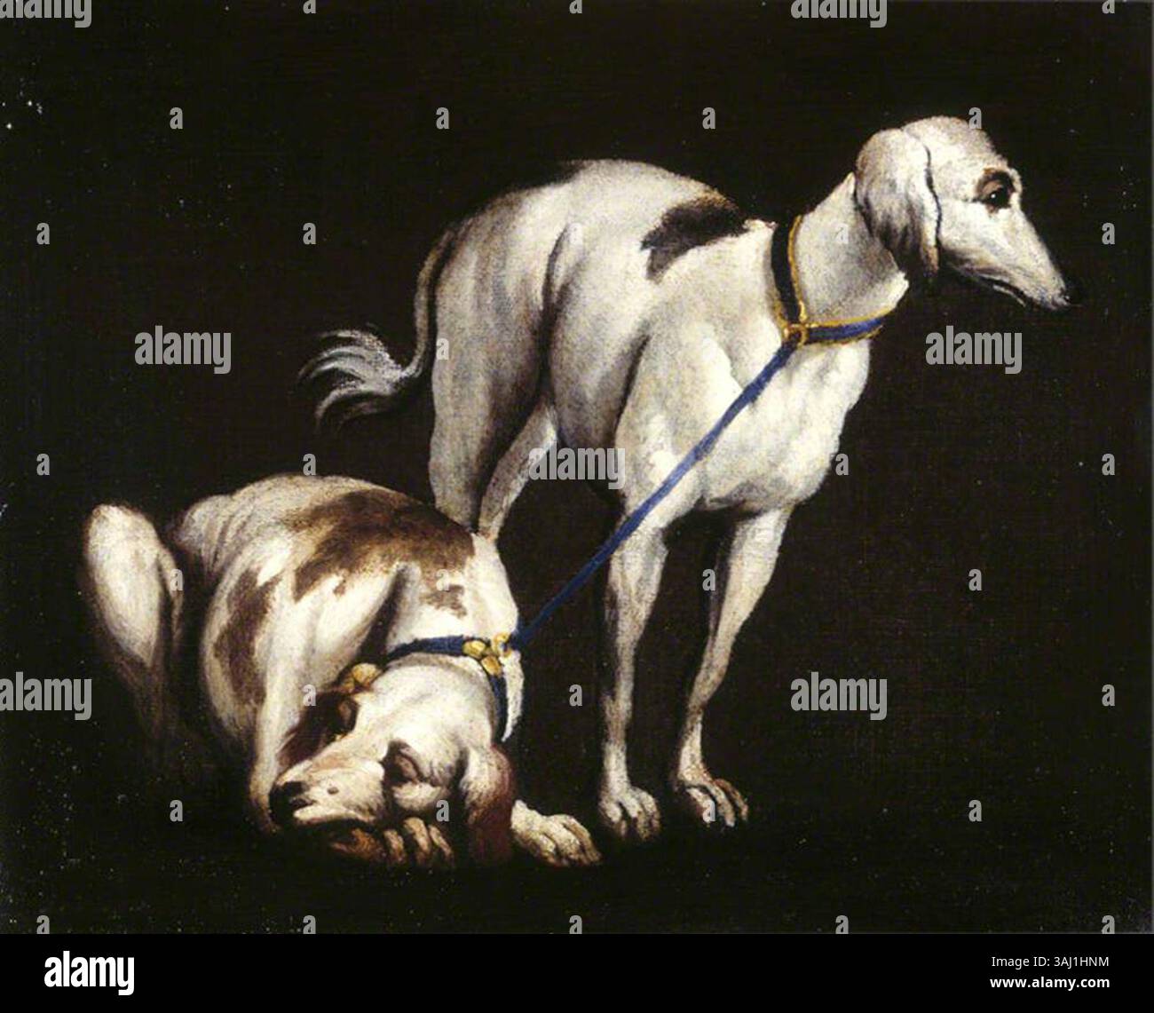 Ein Ölgemälde nach Paolo Veronese, das zwei Windhunde zeigt. Er wurde zwischen 1600 und 1699 geschaffen und unterstreicht Veronese’ Beherrschung der Tier- und Naturthemen, die für sein Werk während der Renaissance und des Frühbarock charakteristisch sind. Stockfoto