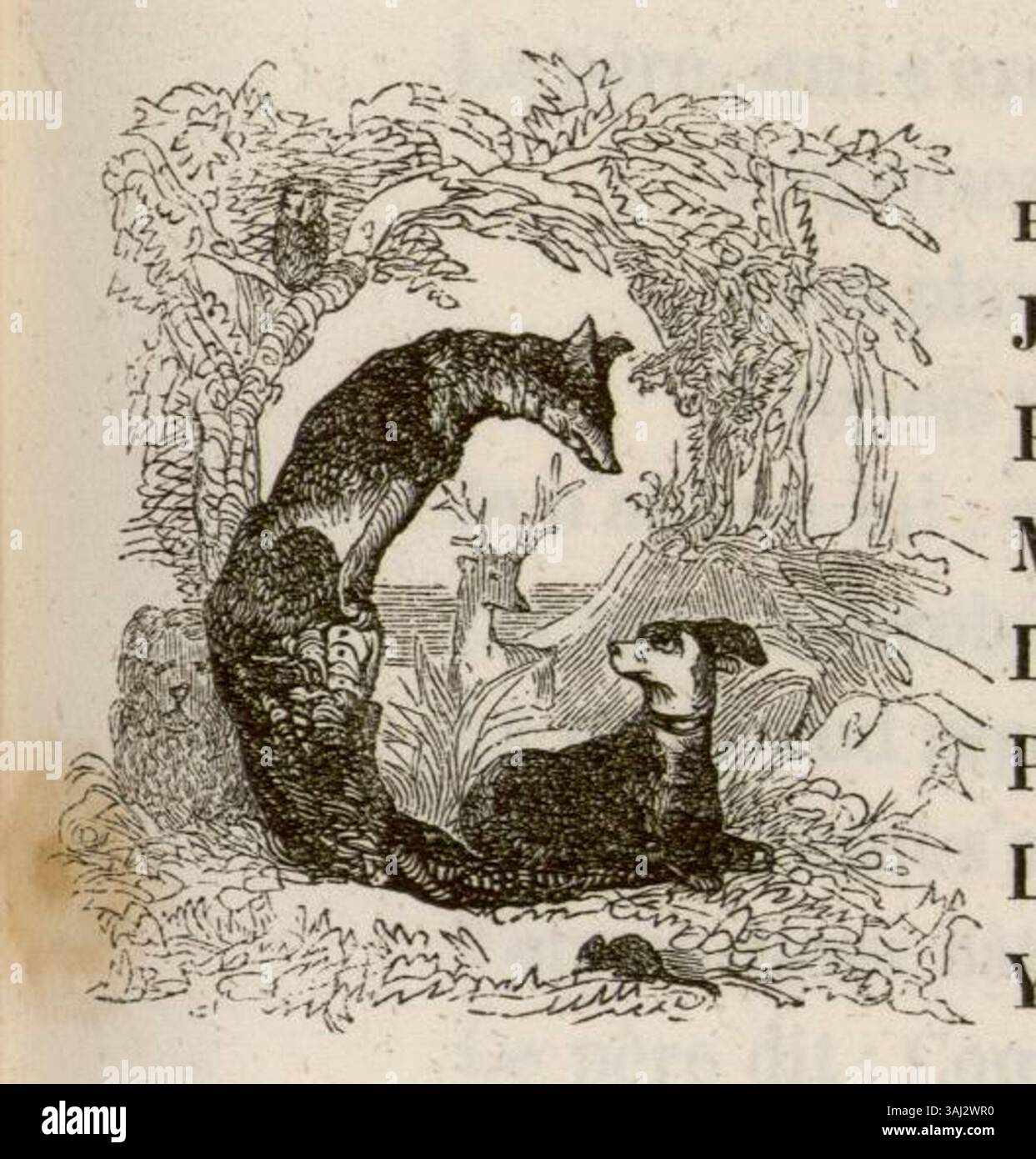 Ein Anfangsbuchstabe „G“ aus La Fontaines Fables, gedruckt 1838. Dieses künstlerische Stück ist Teil einer größeren Sammlung, in der der erste Buchstabe einer Fabel als Teil der illustrierten Einleitung dargestellt wird. Stockfoto