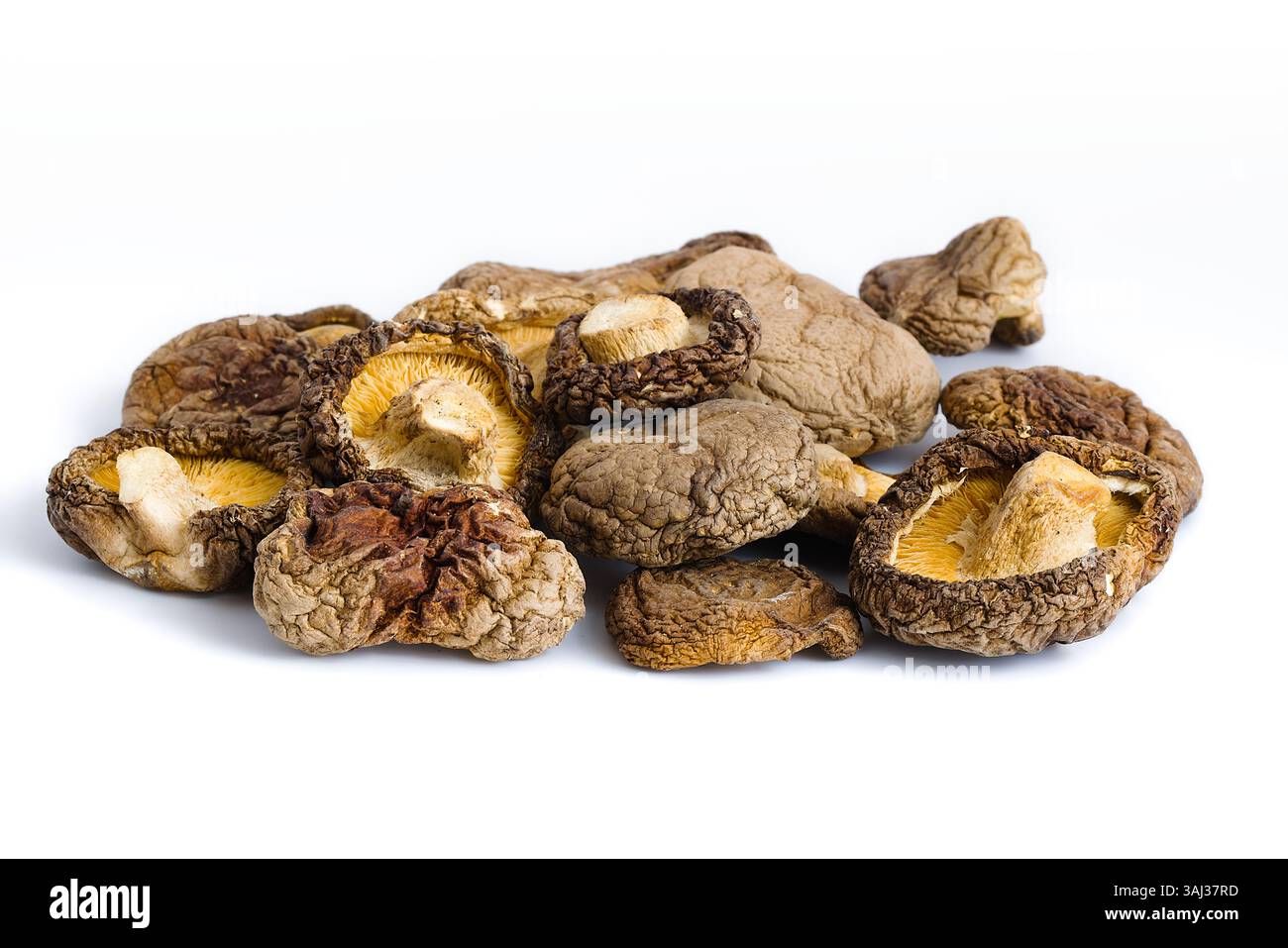 Die getrockneten Shiitake-Pilze sind ordentlich auf weißem Hintergrund angeordnet und weisen komplexe Texturen und tiefe organische Farben auf, die ein Gefühl für rustikales kulinarisches h wecken Stockfoto