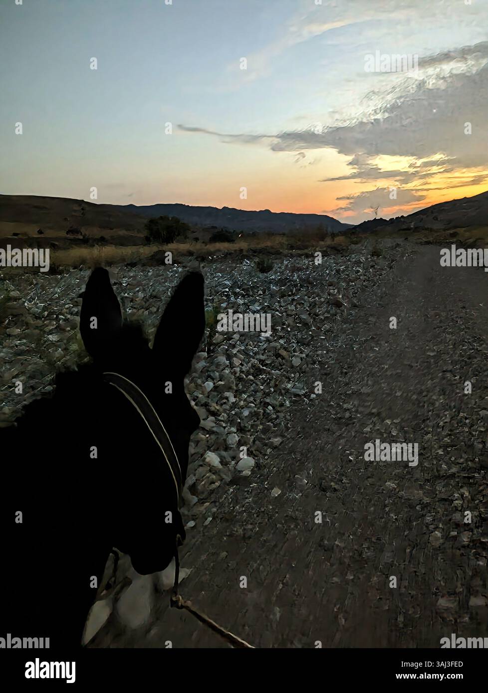 Eselfahrt bei Sonnenuntergang auf einem felsigen Pfad in der Nähe der Argonaftis Donkey Farm in Kelokedara, Zypern. Stockfoto