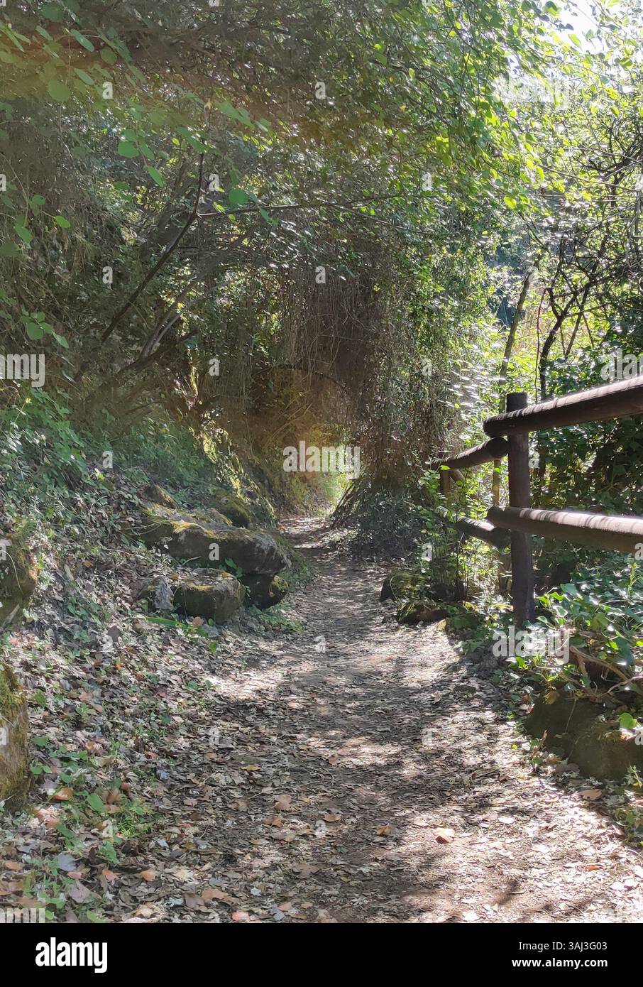 Schattiger Pfad zum Tera-Wasserfall, Zypern, wo flauschiges Licht, moosige Steine und Waldflüster Sie tiefer in das ruhige Herz der Natur führen. Stockfoto