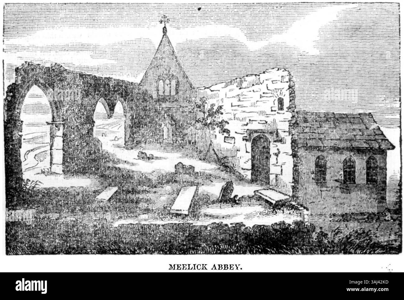 „Meelick Abbey“, eine Illustration aus dem Dublin Penny Journal* von 1833, zeigt die Ruinen der Abtei in Irland. Das Bild bietet einen Einblick in die historische Bedeutung der Abtei und ihre architektonischen Überreste. Stockfoto