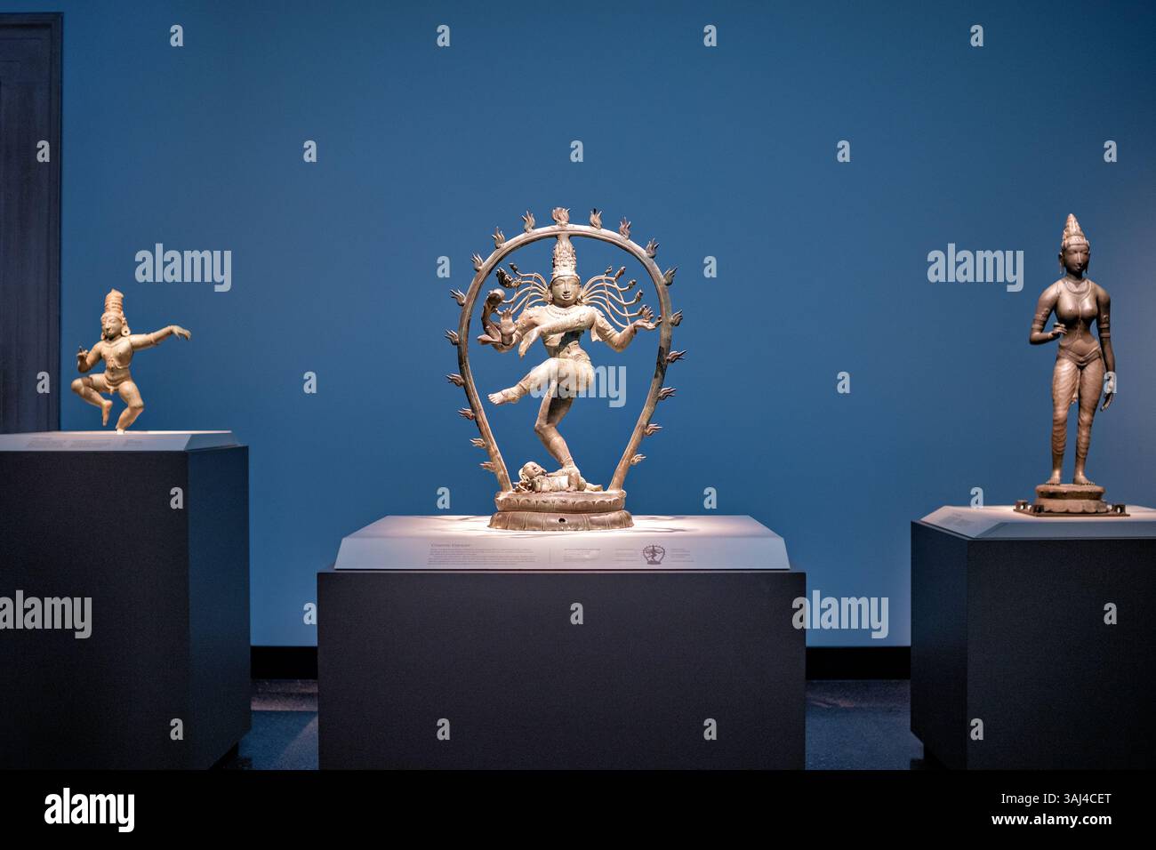 WASHINGTON DC – die Bronzeskulptur „Shiva as Lord of Dance (Nataraja)“ im Smithsonian National Museum of Asian Art stellt eines der berühmtesten Bilder des Hinduismus dar. Dieses Meisterwerk wurde in Tamil Nadu, Indien, während der Chola-Dynastie um 990 n. Chr. geschaffen und zeigt den Gott Shiva, der in einem Ring aus Feuer tanzt und die kosmischen Zyklen der Schöpfung und Zerstörung symbolisiert. Die Bronzestuppe balanciert auf einem Bein auf einem Zwerg, der Unwissenheit repräsentiert, mit Händen, die symbolische Gesten zeigen, einschließlich der „Fear Not“-Mudra, und mit einer Trommel, die das Universum in die Existenz schlägt. Stockfoto
