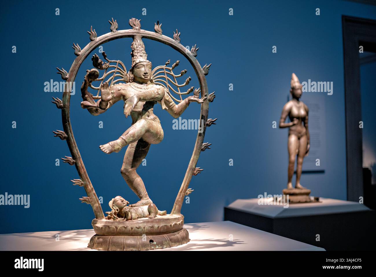 WASHINGTON DC – die Bronzeskulptur „Shiva as Lord of Dance (Nataraja)“ im Smithsonian National Museum of Asian Art stellt eines der berühmtesten Bilder des Hinduismus dar. Dieses Meisterwerk wurde in Tamil Nadu, Indien, während der Chola-Dynastie um 990 n. Chr. geschaffen und zeigt den Gott Shiva, der in einem Ring aus Feuer tanzt und die kosmischen Zyklen der Schöpfung und Zerstörung symbolisiert. Die Bronzestuppe balanciert auf einem Bein auf einem Zwerg, der Unwissenheit repräsentiert, mit Händen, die symbolische Gesten zeigen, einschließlich der „Fear Not“-Mudra, und mit einer Trommel, die das Universum in die Existenz schlägt. Stockfoto