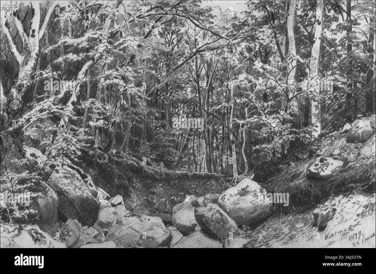 Ein Landschaftsgemälde von Ivan Shishkin, das 1879 eine natürliche Szene darstellt. Shishkins Werk ist bekannt für seine realistischen Naturdarstellungen und fängt die Schönheit der russischen Wildnis im 19. Jahrhundert ein. Stockfoto