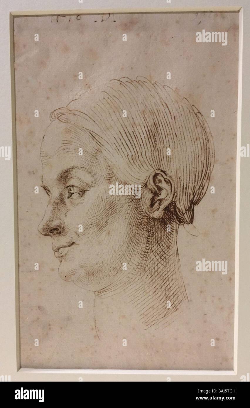 Albrecht Dürers „Tête de femme de Profil vers la gauche“ ist eine detaillierte Zeichnung aus den Jahren 1500–1504. In Stift und brauner Tinte ausgeführt, zeigt er Dürers Beherrschung von Linie und Textur. Stockfoto