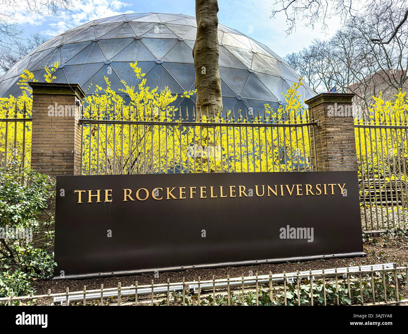Die Rockefeller University, eine private biomedizinische Forschungsuniversität und nur Absolventen, Universitätsname auf schmiedeeisernem Zaun mit Caspary Auditorium Stockfoto