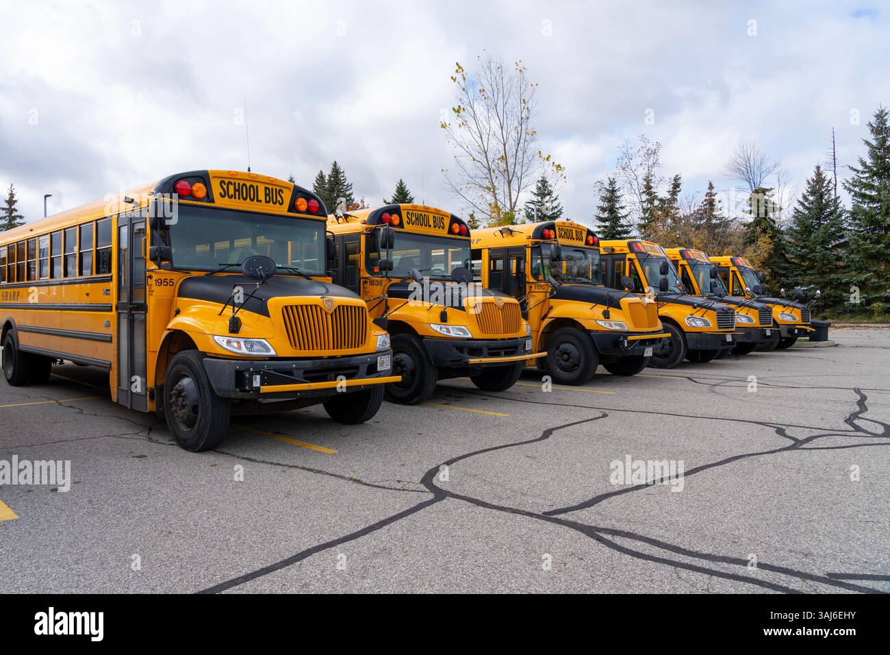 Schulbusse auf einem Parkplatz in Waterloo, ON, Kanada Stockfoto