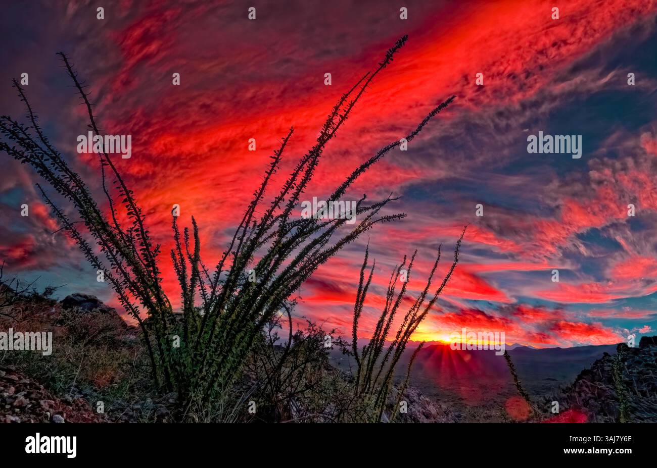 Sonnenuntergang an Gates Pass, Saguaro NP, Arizona Stockfoto