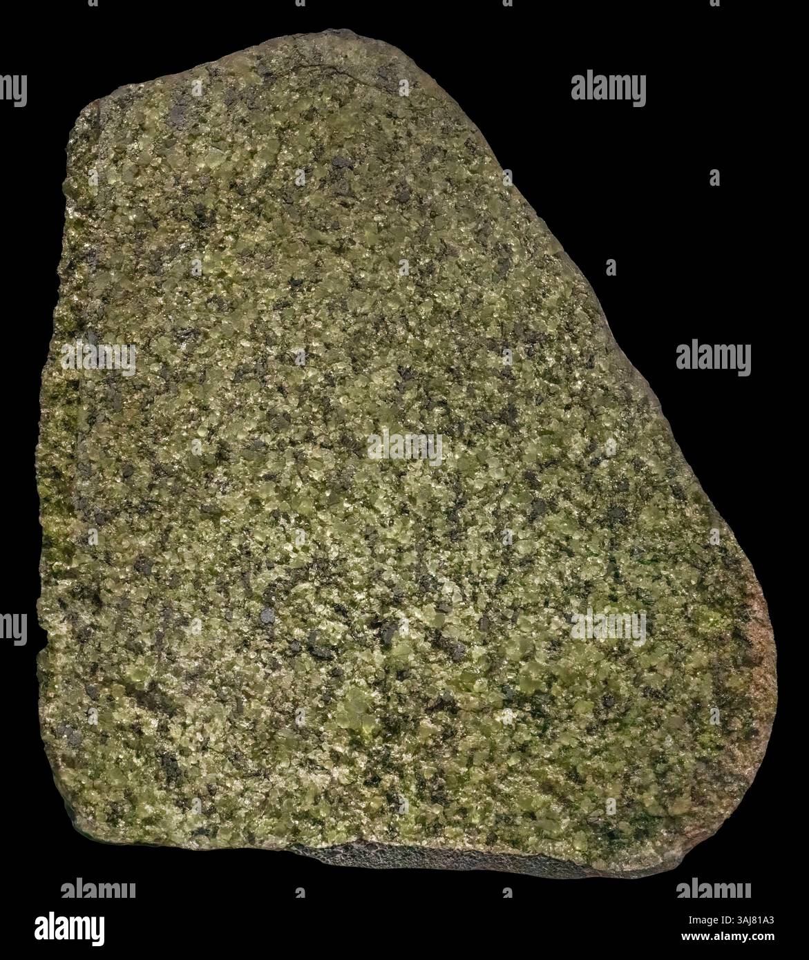 Forsterit mit Fayalite in Basalt, Gila Co, AZ Stockfoto