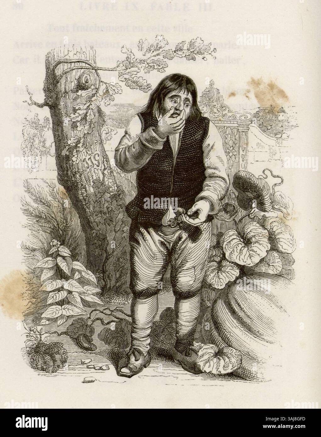 Ein Druck aus La Fontaines Fables mit dem Titel „der Acorn und der Kürbis“, der 1838 erstellt wurde. Diese Fabel stellt die einfache Eichel dem großen Kürbis gegenüber und veranschaulicht Themen der Demut und des Stolzes. Stockfoto