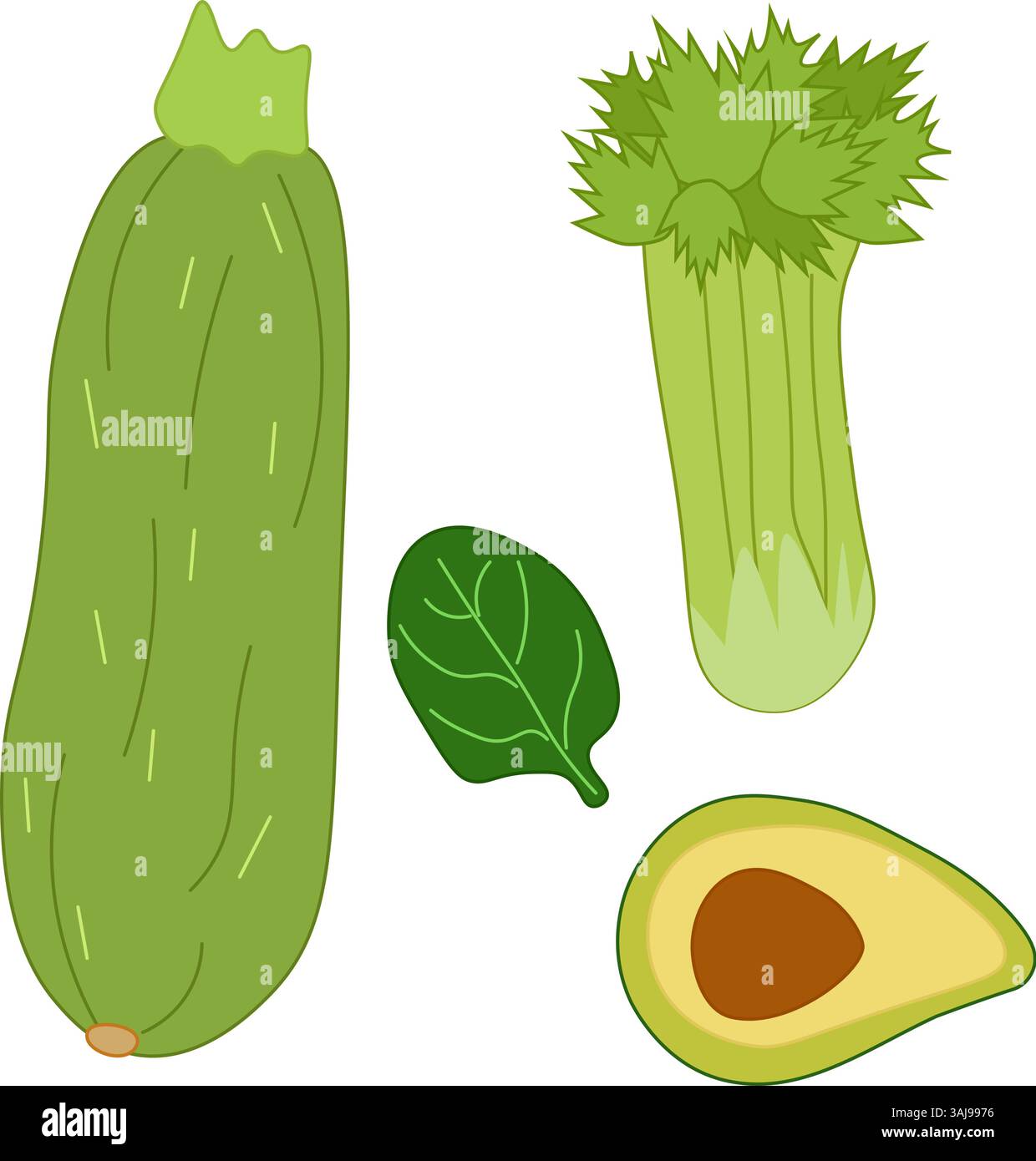 Avocado, Spinat, Zucchini, Sellerie isoliert. Vektorsymbol-Logosatz. Kunst für Lebensmitteldesign, Rezept, Kochbuch, Pakete, Menü, Essensanzeigen und Dekor Essen Stock Vektor