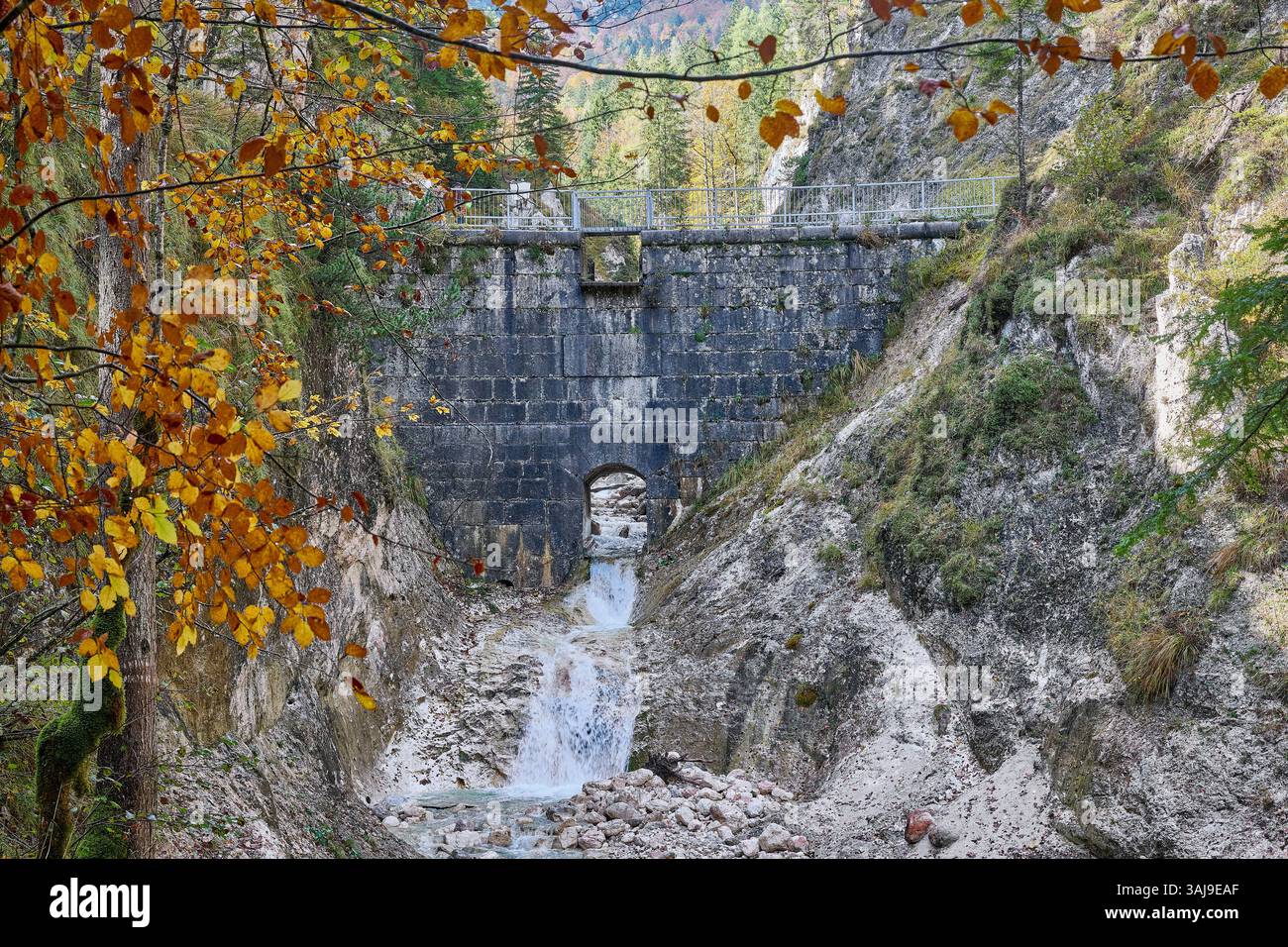 Theresienklause-Damm in der Almbachklamm. Dieser Damm wurde für den Holztransport in Deutschland, Bayern, Almbachklamm gebaut Stockfoto