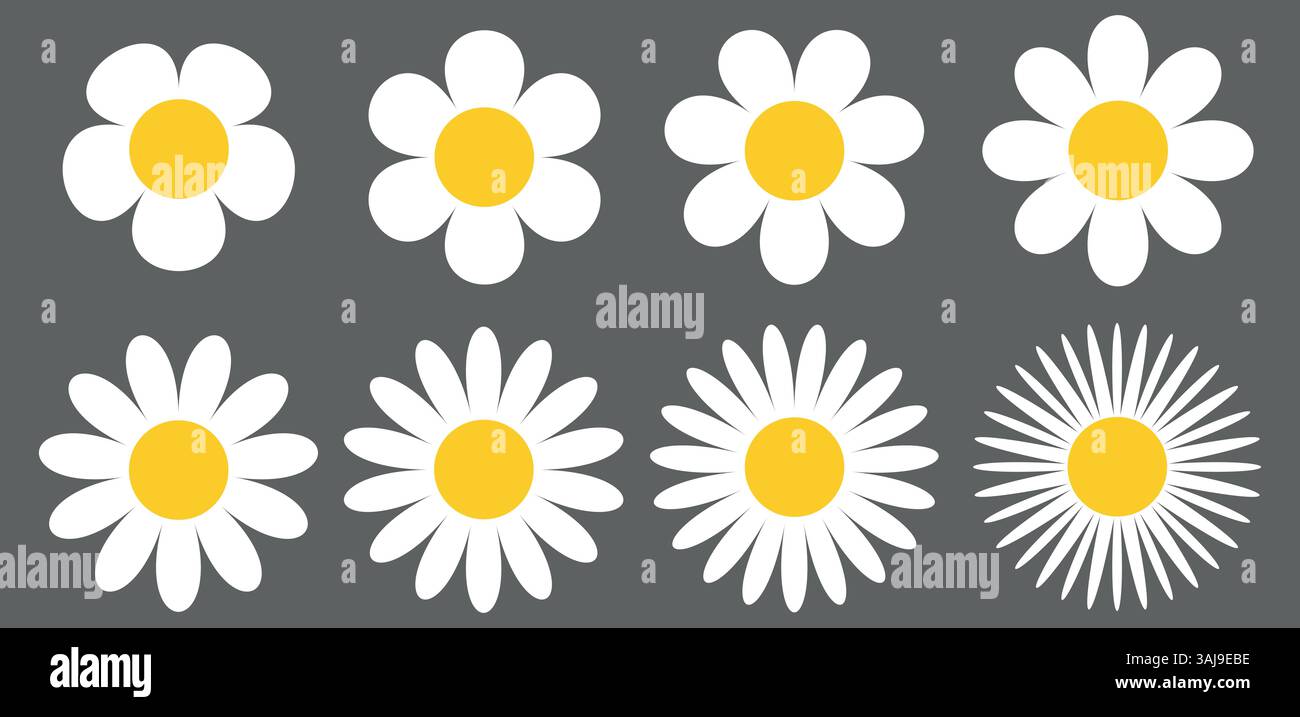 Symbolgruppe Kamille. Weiße Gänseblümchenkamille. Niedliche runde Blumenkollektion. Stock Vektor