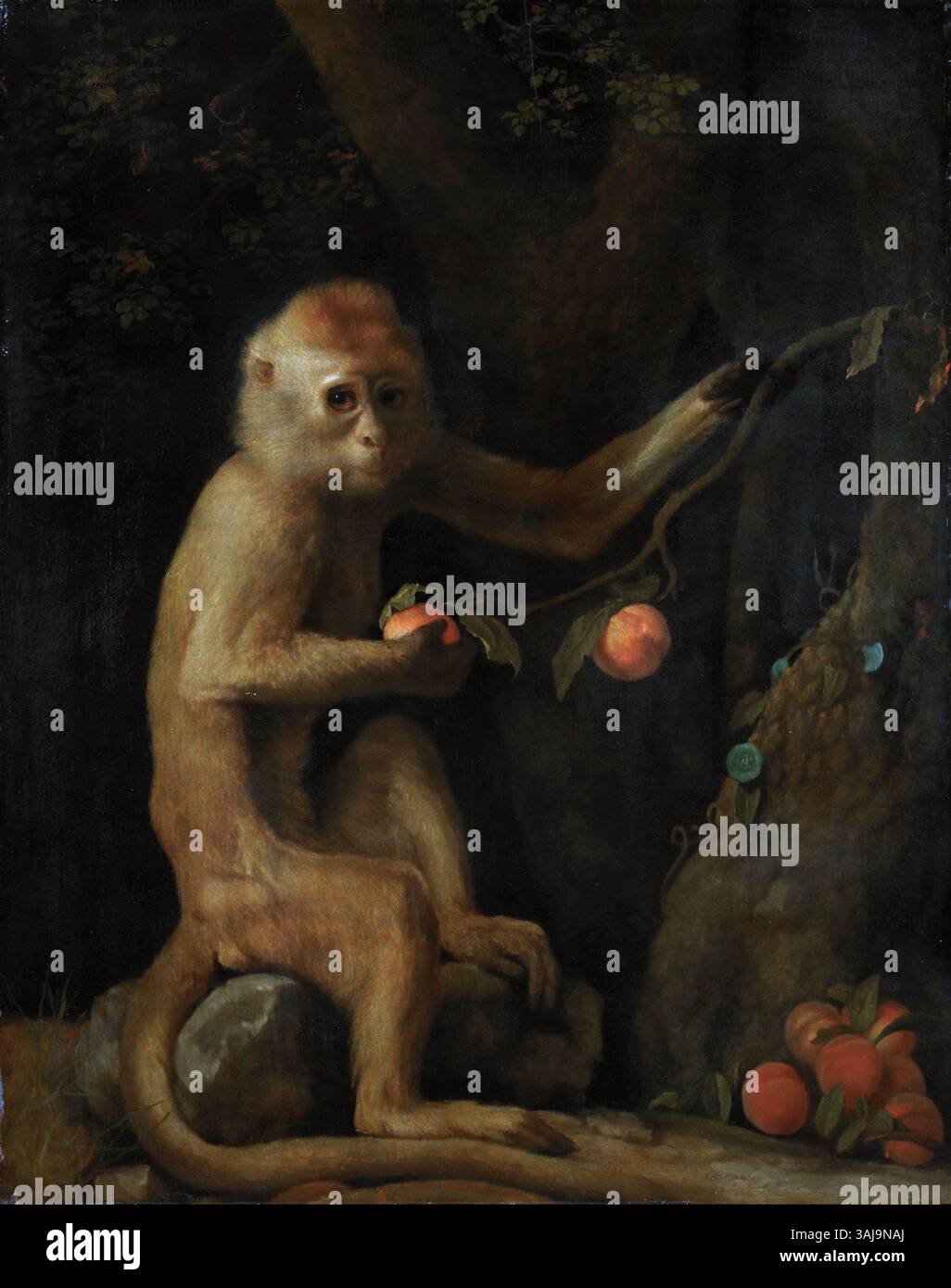 George Stubbs’ Ölbild „A Monkey“ aus dem Jahr 1799 ist ein eindrucksvolles Beispiel für seine detaillierten Tierstudien. Stubbs ist bekannt für seine präzise Wiedergabe von Tieren und fängt den lebendigen Charakter des Affen in diesem Werk ein, das in der Walker Art Gallery untergebracht ist. Stockfoto