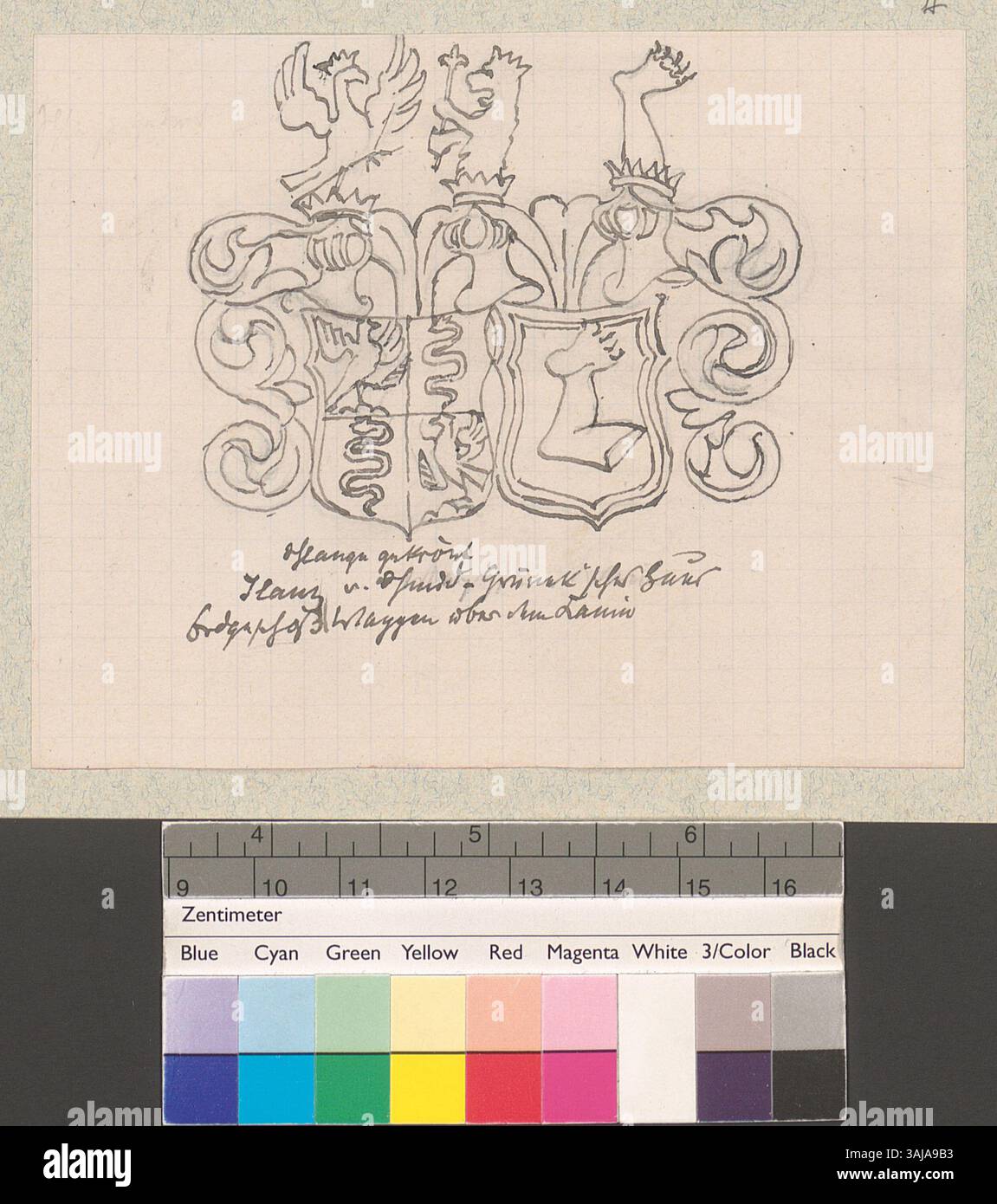 Zeigt den Wappenschild über dem Kamin im Erdgeschoss des Hauses von Schmid-Grüneck in Ilanz, Schweiz. Die Illustration entstand 1906 von Johann Rudolf Rahn. Stockfoto