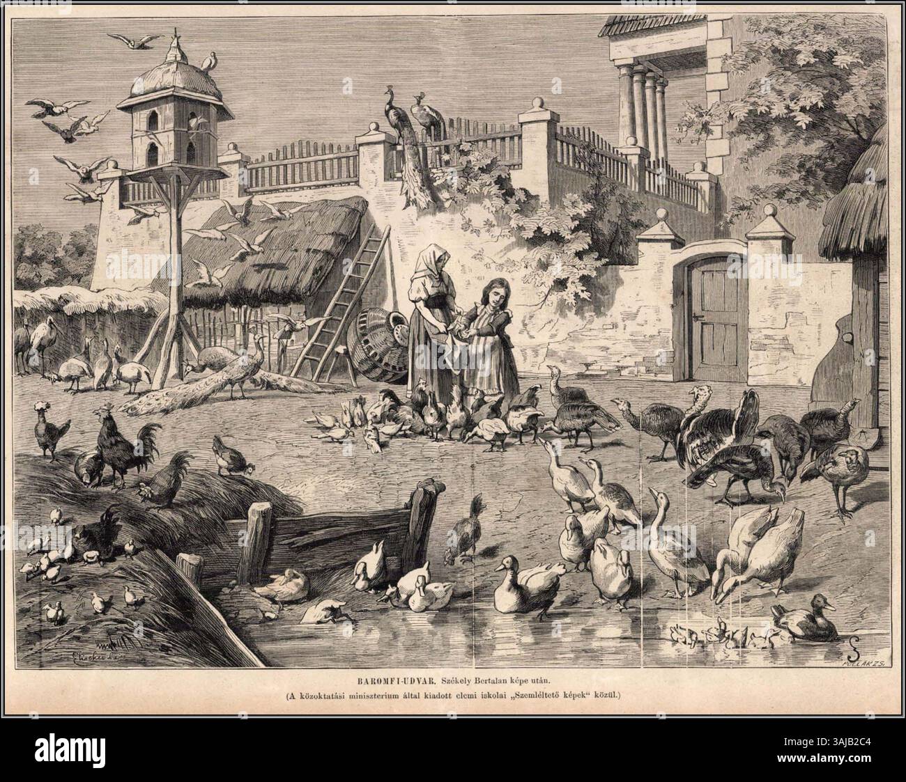 Dies ist eine Reproduktion eines Gemäldes von Bertalan Székely, das einen Geflügelhof darstellt. Das Originalwerk, das im 19. Jahrhundert entstanden ist, spiegelt Székelys Mischung aus Romantik und Akademik wider. Das Bild wurde von Lajos Elischer für pädagogische Zwecke geätzt. Stockfoto