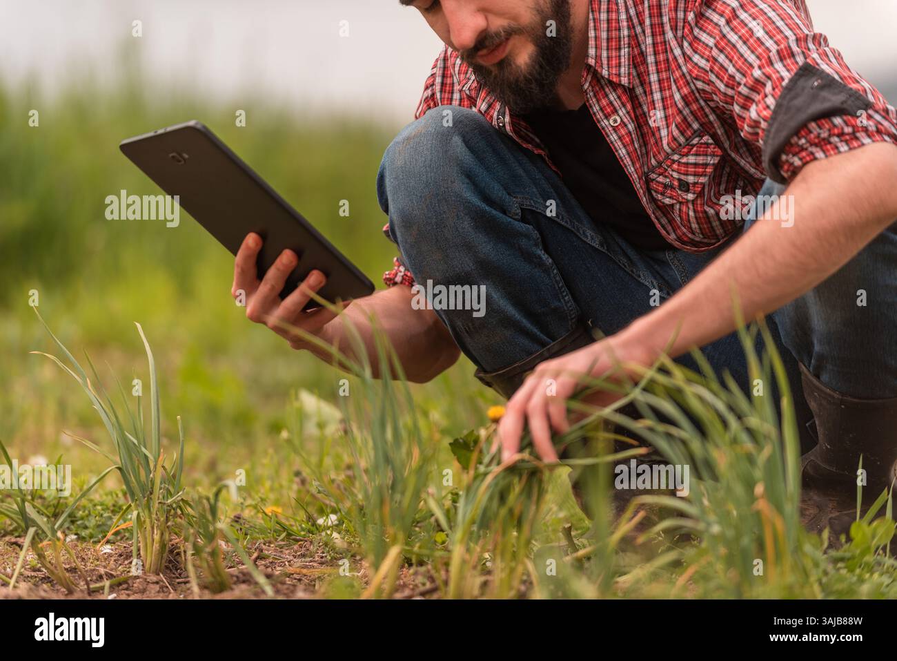 Farmer Plantagen Qualität durch Tablettenlandwirtschaft modernes Technologiekonzept Smart Farming. Stockfoto